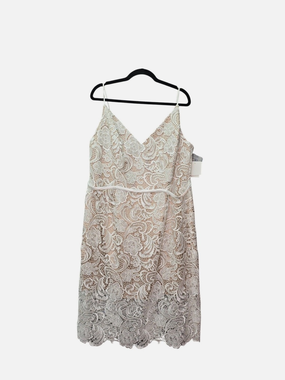 Paisley Lace Illusion Sheath Dress with Sheer Hem
